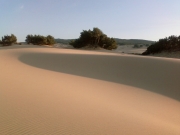 Le Dune