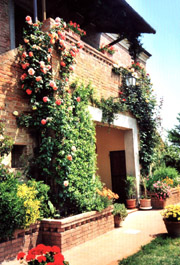 Wohnung in Montepulciano: die Fassade der Ferienwohnung Edera in Montepulciano